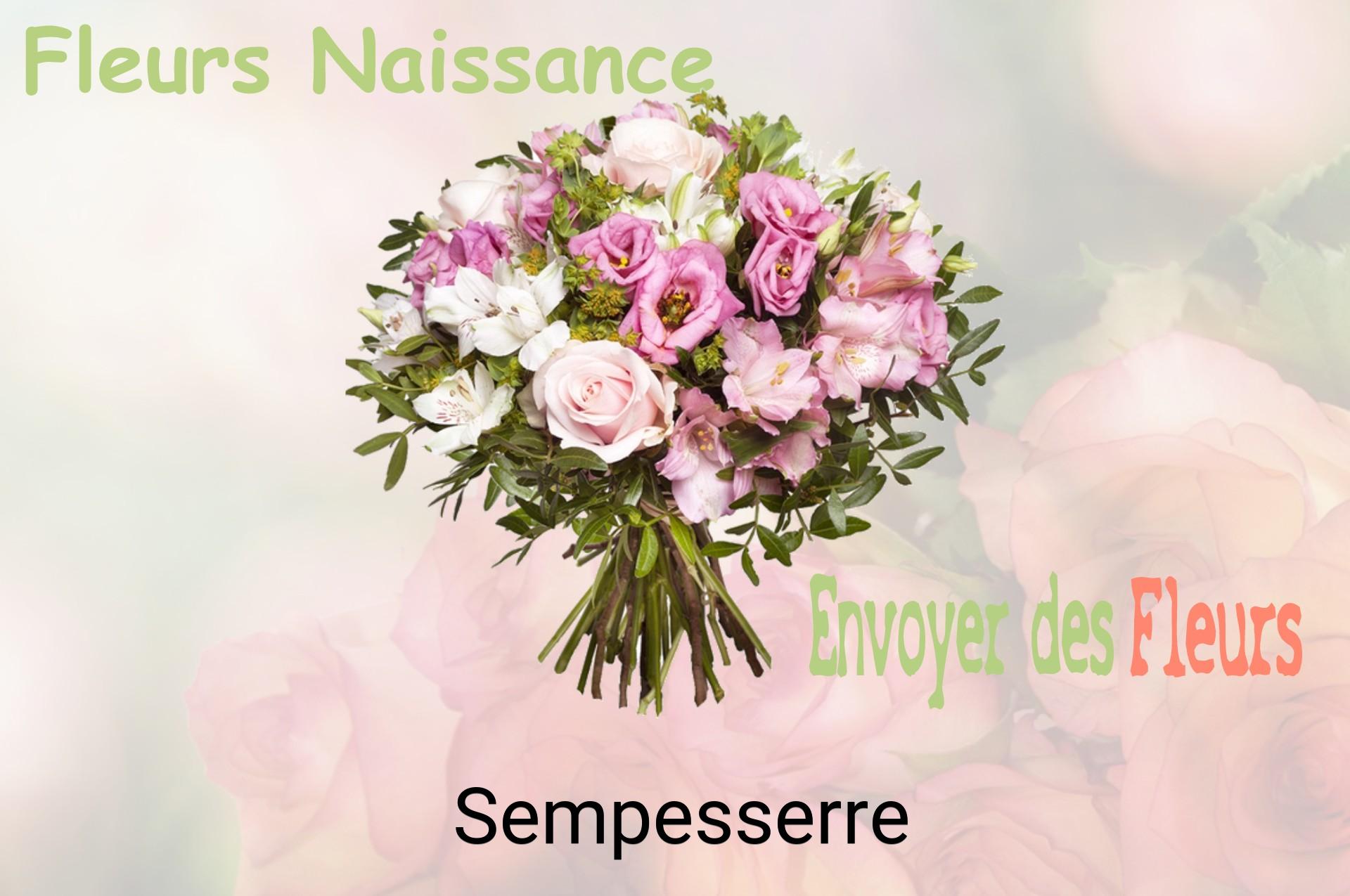 Bouquet de fleurs de naissance livré à Sempesserre